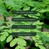 Aduna Moringa Superfood Powder 275g
