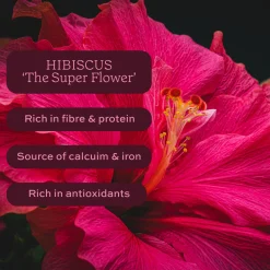 Aduna Radiance Hibiscus Tea with Rosehip & Elderberry 15 bags