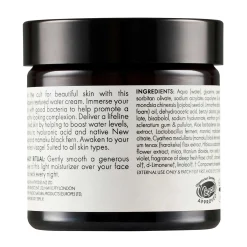 Antipodes Culture Probiotic Night Recovery Water Cream 60ml