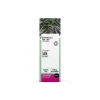 Botanicals For Life Organic Sage Extract 50ml