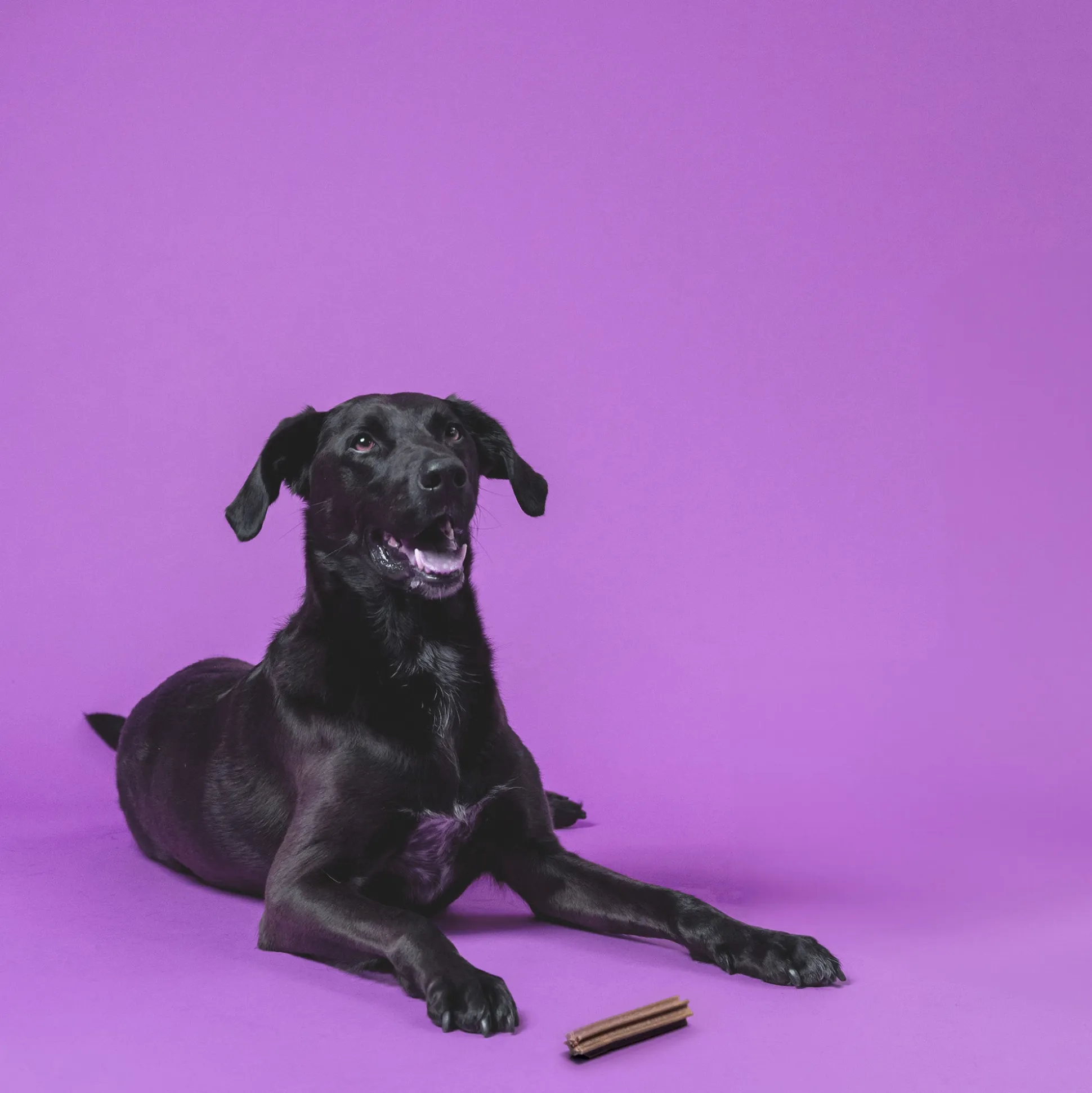 Clean Teeth & Chill 175g