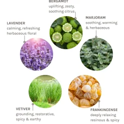 Evolve Zen Whisper Essence 10ml