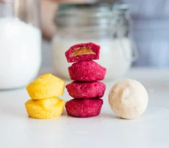 Fermenti Mango & Passion Fruit Coco Bites 9g