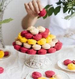 Fermenti Tangy Raspberry Coco Bites 12g
