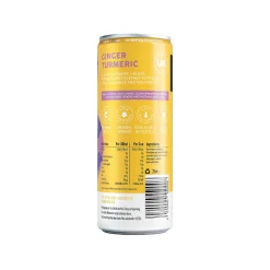 Fix8 Ginger Turmeric Kombucha 250ml