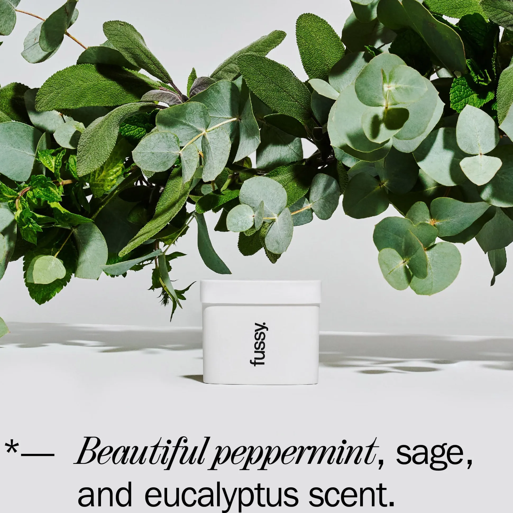 Fussy Natural Deodorant Refill Wavy Days 40g