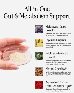 JERMS Daily Gut - Digestion and Gut Microbiome Support 150g