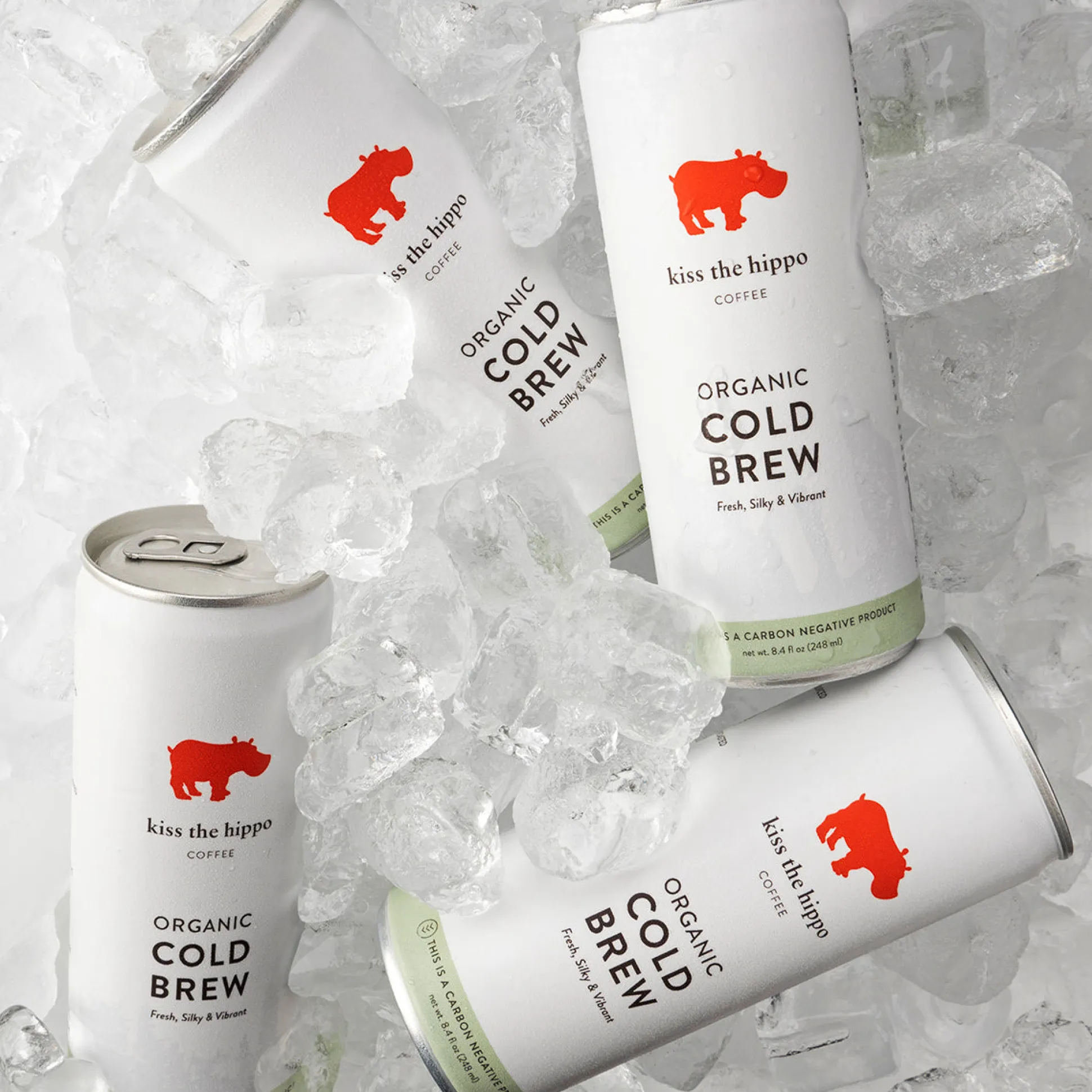 Kiss the Hippo Coffee Organic Cold Brew Can 250ml