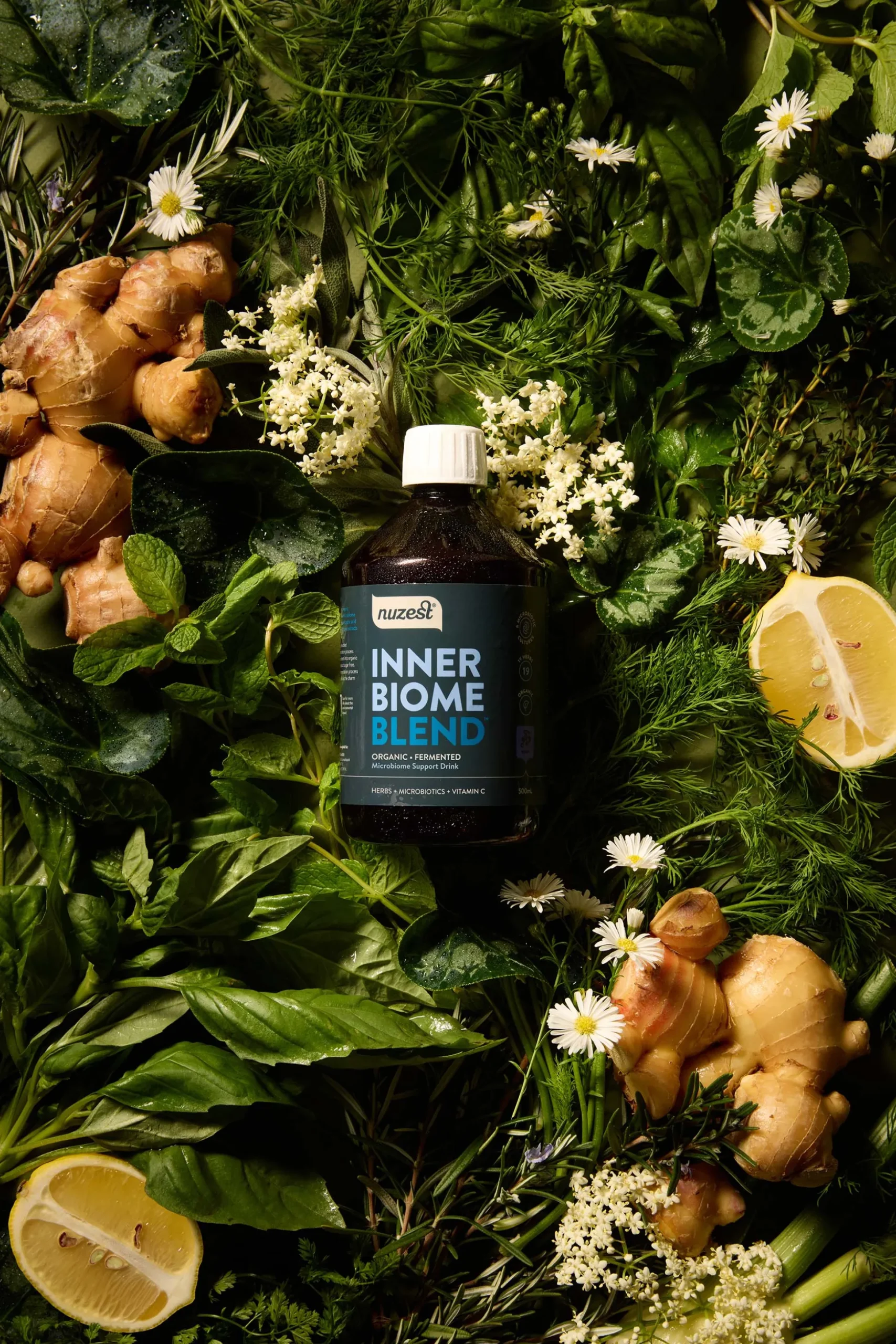 Nuzest Inner Biome Blend - Berry 500ml