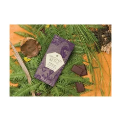Original Beans Virunga 70% 70g