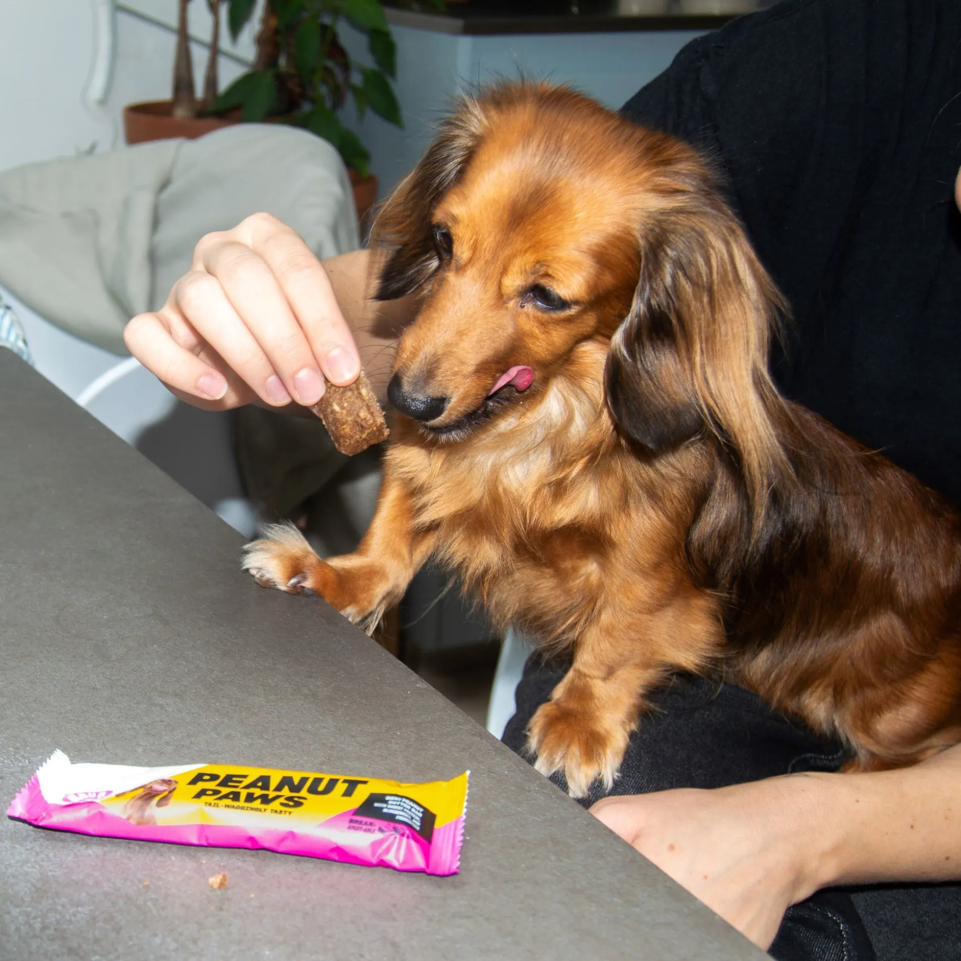 Peanut Paws 35g
