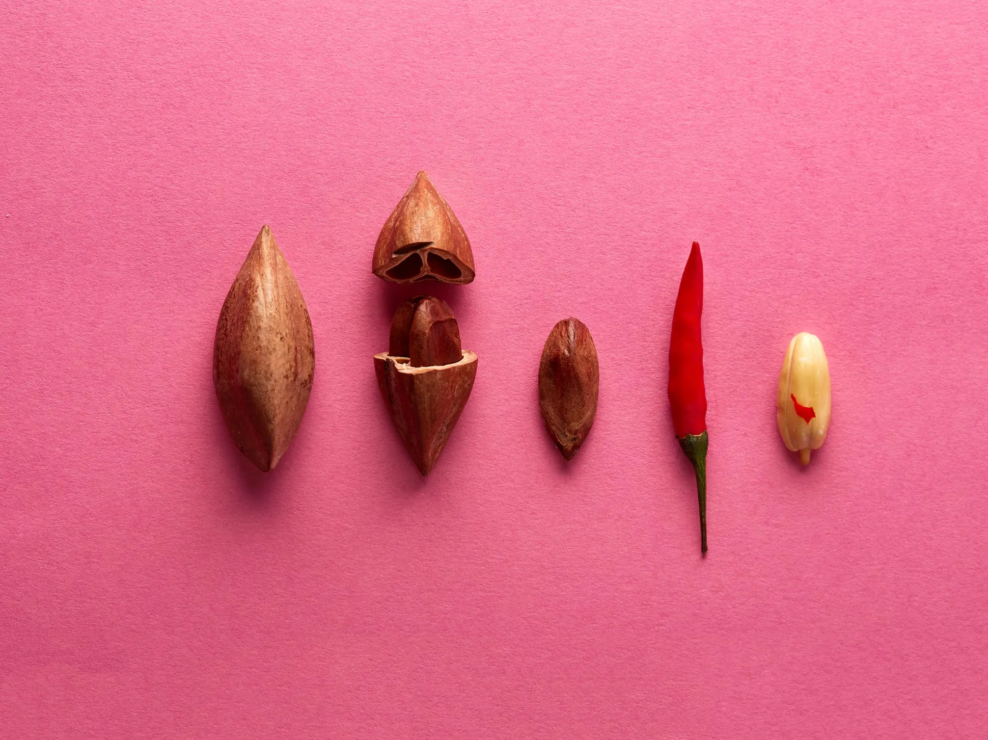 Raw & Wild Activated Pili Nuts - Chilli 70g