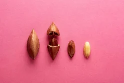 Raw & Wild Activated Pili Nuts - Original 70g