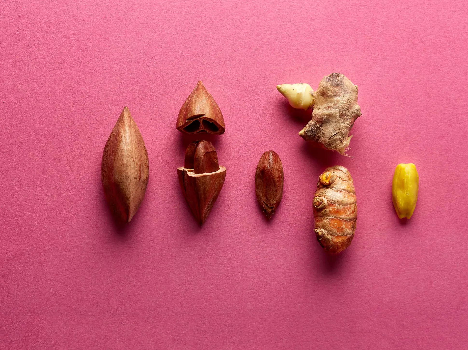 Raw & Wild Activated Pili Nuts - Turmeric & Ginger 70g