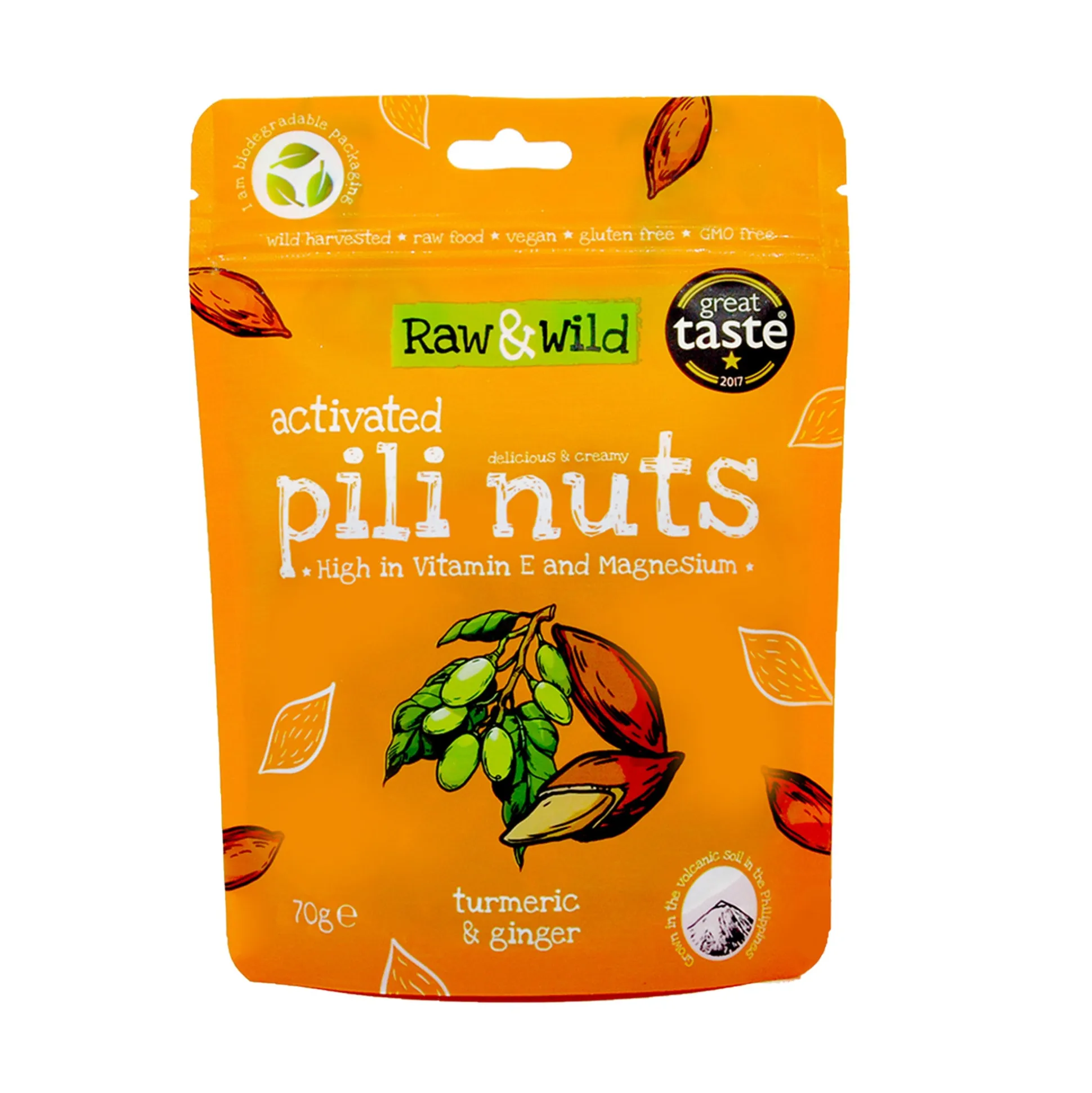 Raw & Wild Activated Pili Nuts - Turmeric & Ginger 70g