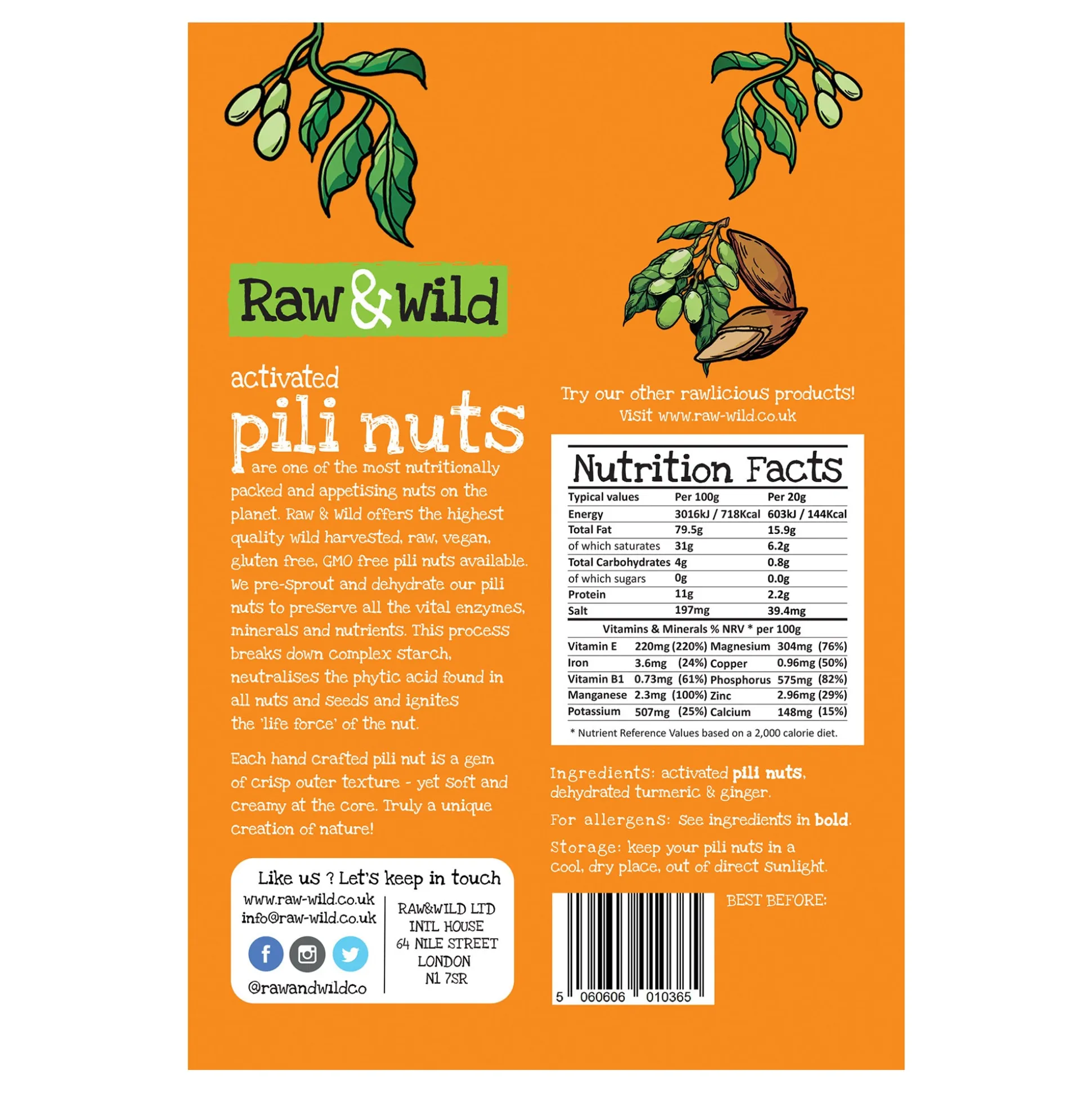 Raw & Wild Activated Pili Nuts - Turmeric & Ginger 70g