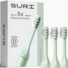 SURI Replacement Toothbrush Heads Winter Fern 3 heads