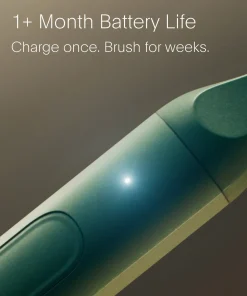 SURI S2 Electric Toothbrush and UV Travel Case Winter Fern each