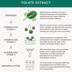 Together Folate 30 caps
