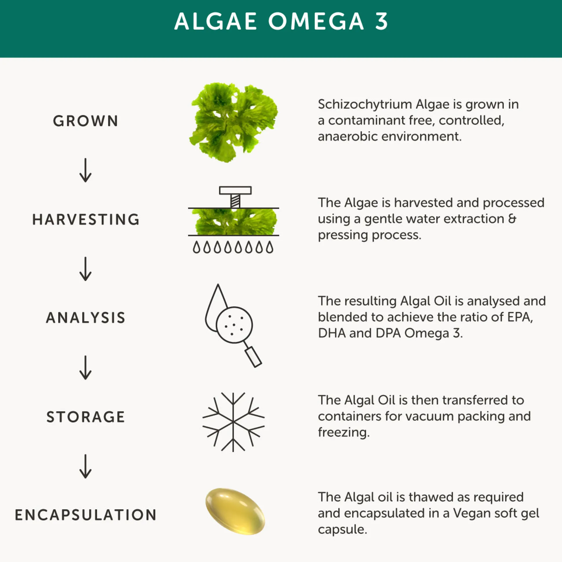 Together Omega 3 DHA capsules from Algae Oil 30 tabs