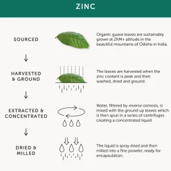 Together Organic Zinc 30 caps