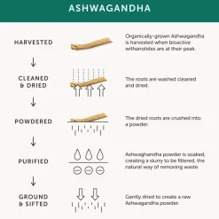 Together Whole Root Ashwagandha 30 caps