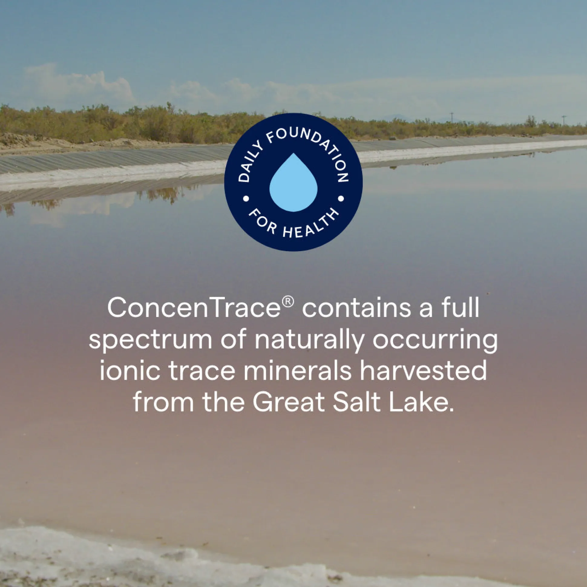 Trace Minerals Liquid ConcenTrace Trace Mineral Drops 59ml
