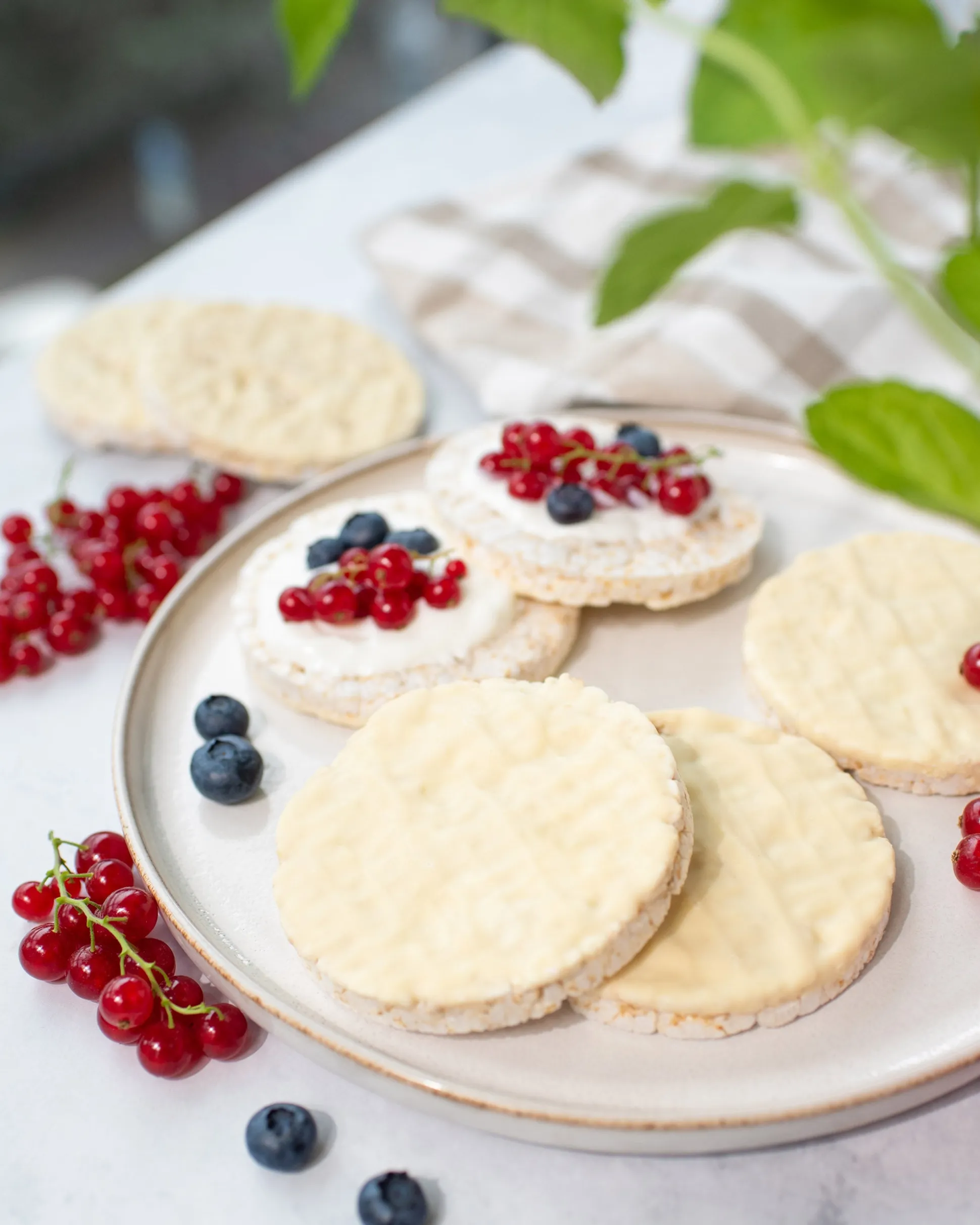 Vilgain Organic Rice Cakes - Yogurt 100g