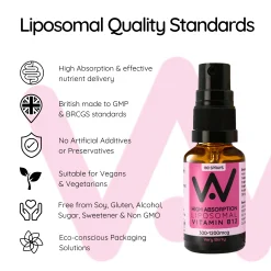 Well. Actually. Liposomal Vitamin B12 methylcobalamin Spray (1200mcg) - Very Berry Flavour 30ml