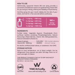 Well. Actually. Liposomal Vitamin B12 methylcobalamin Spray (1200mcg) - Very Berry Flavour 30ml