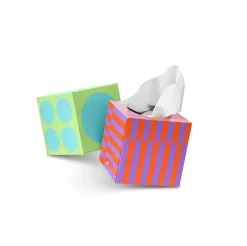 Who Gives A Crap Recycled Facial Tissues 66 sheets